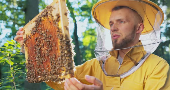 A Beekeeper Smiling Protected By a Protective Suit with a Mosquito Net on His Face Takes Care of the