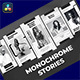 Monochrome Stories for DaVinci Resolve - VideoHive Item for Sale