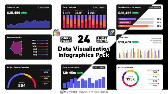 Data Visualizations Infographics Pack For Final Cut Pro X