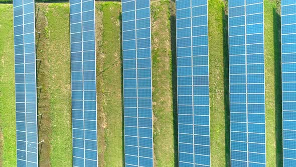 Aerial Top View of Solar Panels Farm (Solar Cell) with Sunlight