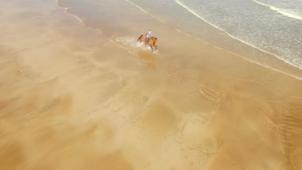 Woman horse riding on seashore