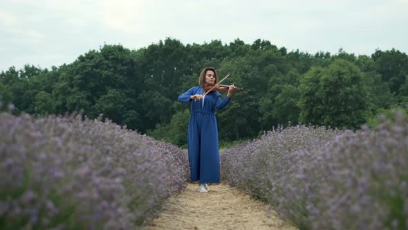 Adult Woman Violinist Playing Violin and Walking to Camera on Lavender Field