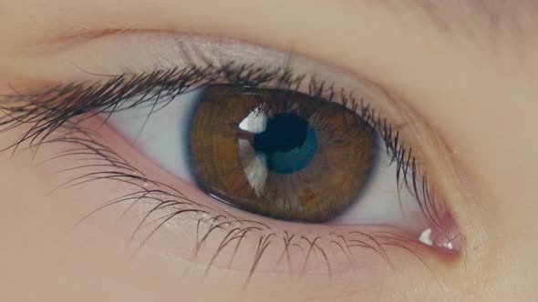 Eye (4K)