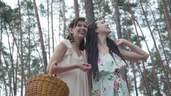 Portrait Two Adorable Young Woman Wear Dresses Standing Against the Background of a Pine Forest and