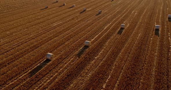 Serbia, Vojvodina, Aerial shot of wheat bales out on a field