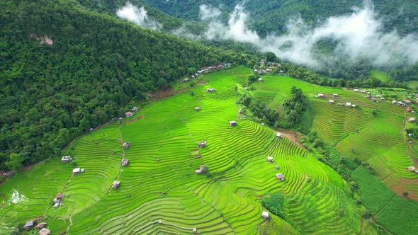 Drone flying over fields in Pa pong piang rice terraces