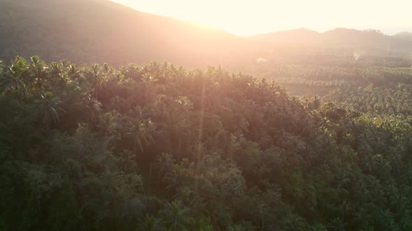 Sunset over the mountains. Fly over a tropical forest in Koh Samui, Thailand
