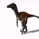 Dinosaur Walking - VideoHive Item for Sale