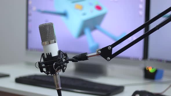 Streamer Gamer Microphone