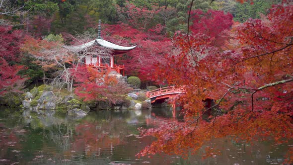 Daigo-ji temple with colorful maple trees in autumn, Kyoto, Japan