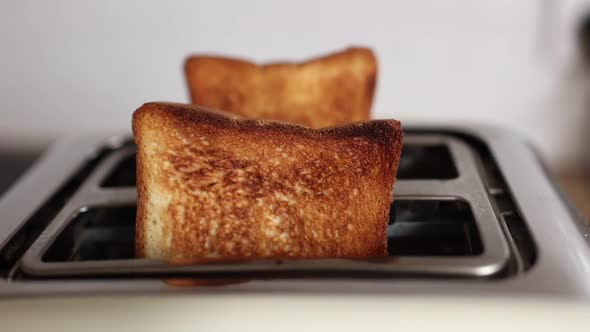 Roasted bread in white toaster. two delicious and toaster toasts. the process of frying toasts.