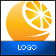 Orange Logo Template - GraphicRiver Item for Sale