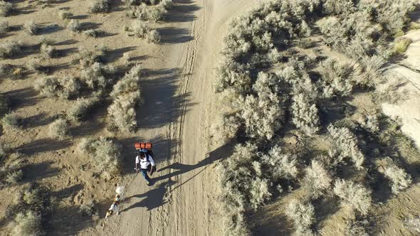 Aerial shot of a young man backpacking with his dog on a dirt road in a mountainous desert.