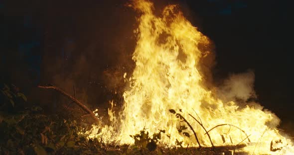 Firemen Jumping Over Fire in Dense Forest Fire Fighter with Safety Equipment and Axe Extinguishing