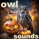 Owl Halloween Sounds