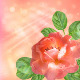Floral Background with Rose - GraphicRiver Item for Sale
