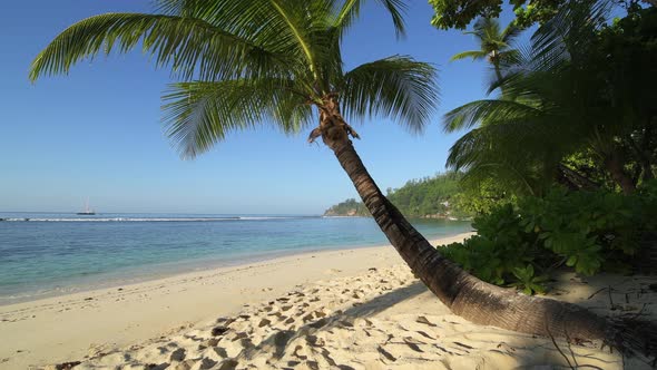 Palm beach, Baie Lazare, Mahe, Seychelles