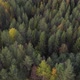 Summer Early Autumn in Forest Aerial Top View - VideoHive Item for Sale