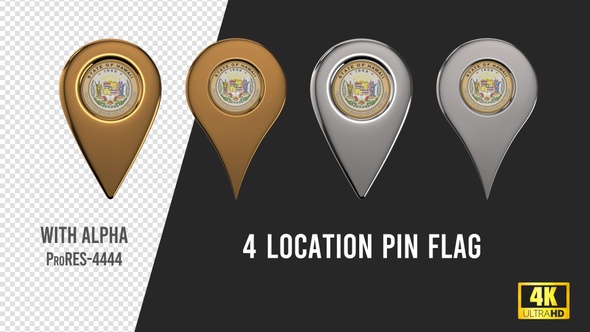 Hawaii State Seal Location Pins Silver And Gold