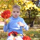 A Child in the Autumn Park Plays and Laughs Merrily He Plays with Yellow Leaves and Rowan Berries - VideoHive Item for Sale