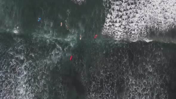 Aerial top down view of enjoy with surfing in the ocean in Bali, Indonesia