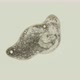 Turbellaria Flatworm Under the Microscope Platyhelminthes Phylum Order Rhabdocoela - VideoHive Item for Sale