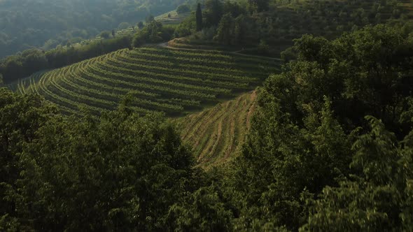 Aerial view of the amazing countryside in the Po Valley, Italy.