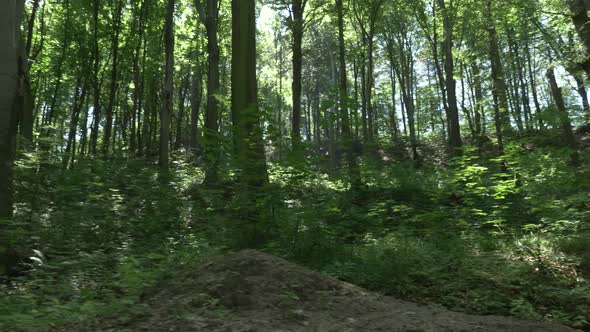 Biker doing stunts in the woods