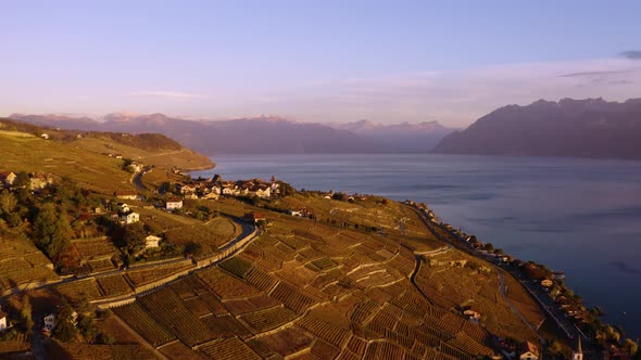 Aerial shot climbing and revealing Grandvaux village (Lavaux, Switzerland) and Lavaux vineyard at su