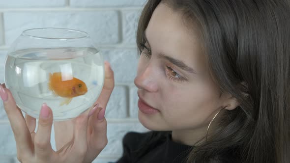 Golden fish in the hand.