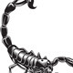 Scorpion - GraphicRiver Item for Sale