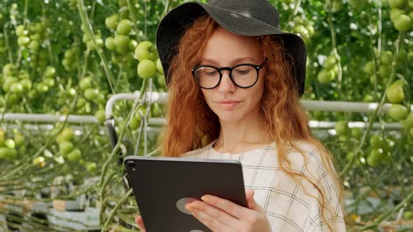 Young Woman Using or Playing Tablet in Greenhouse. Green Plant Growing in Warm House.