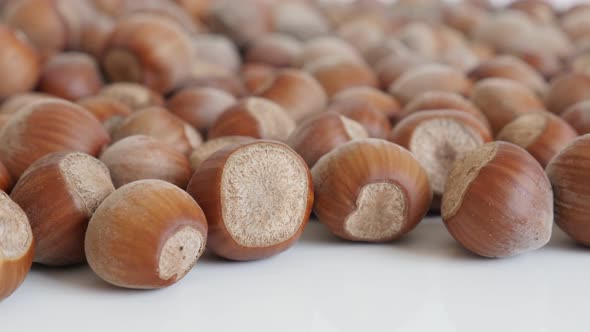 Heap of  hazelnuts on white background  4K 2160p 30fps UltraHD footage - Organic Corylus avellana nu