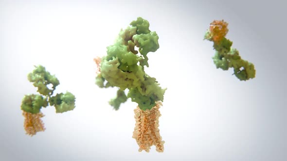 Microbiology Medical Animation of G Protein Coupled Receptors