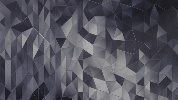 Abstract Polygons