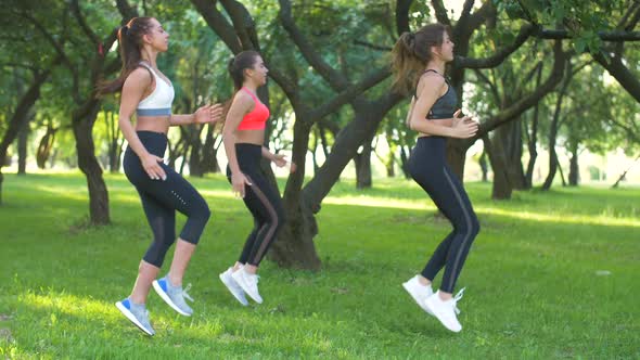 Group of girls jogging on the spot on a sunny day. Women working out in the park