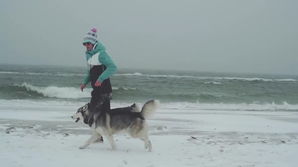 Young Female Playing and Runing with Siberian Husky Dog on the Beach at Snow Storm Slow Motion