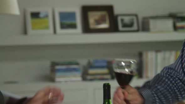 Closeup  off couple toasting with wine glasses