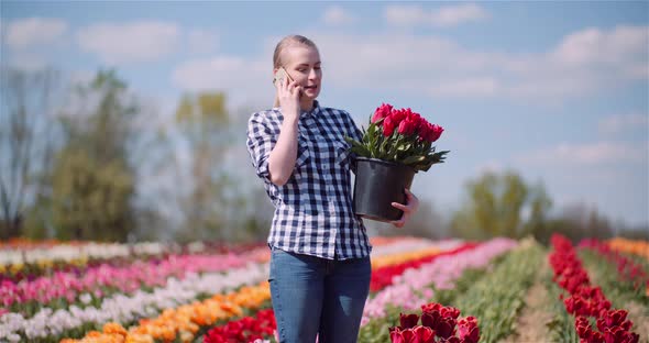 Woman Holding Tulips Bouquet in Hands While Talking on Mobile Phone on Tulips Field