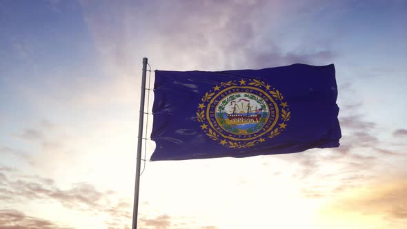 State Flag of New Hampshire Waving in the Wind