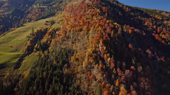 Drone Flight Over Klammsee Reservoir And Trees In Autumn