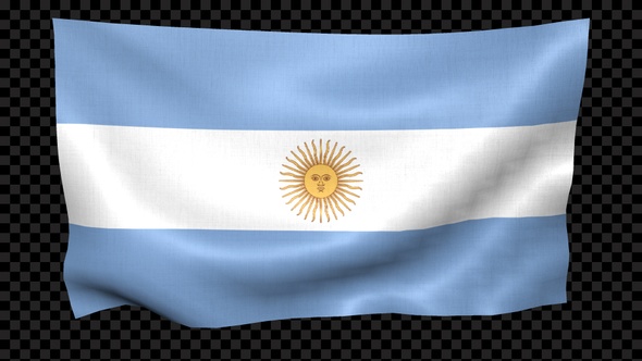 Argentina Flag Waving Looped