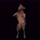 41 Horse Dancing 4K - VideoHive Item for Sale
