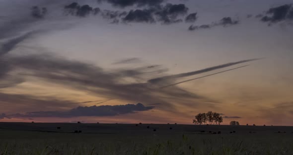 Flat Hill Meadow Timelapse at the Summer Sunrise Time