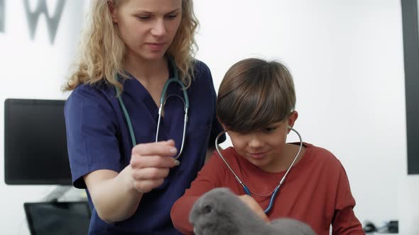 Female doctor showing how to examine cat. Shot with RED helium camera in 4K.