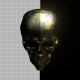 Golden Skull - VideoHive Item for Sale