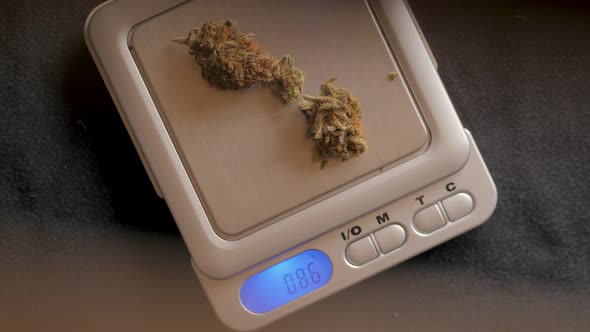Cones of Cannabis Flowers on the Scales