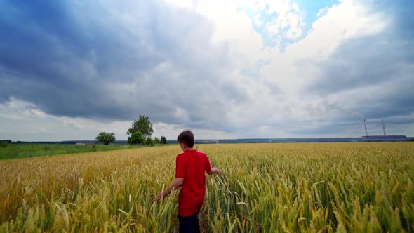 Happy boy in agriculture field