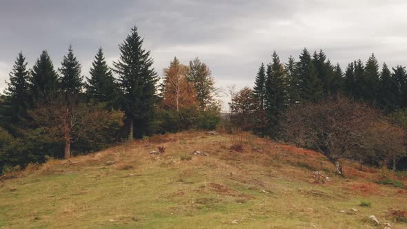 Autumn Landscape at Mountain Forest Aerial