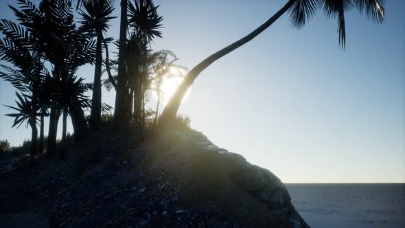 Tropical Island of Maldives in Ocean alt